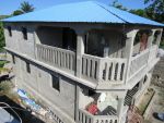 Director's house and guest house